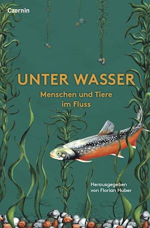 Cover for Florian Huber · Unter Wasser (Bog) (2022)