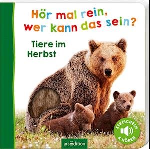 Cover for Wer Kann Das Sein? Hör Mal Rein · Hör mal rein, wer kann das sein?  Tiere im Herbst (Book) (2023)