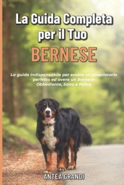 Cover for Antea Grandi · La Guida Completa per Il Tuo Bernese (Paperback Book) (2021)