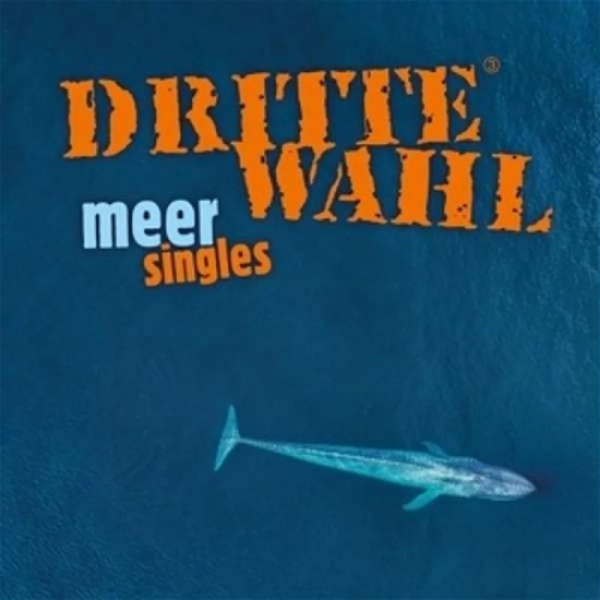 Cover for Dritte Wahl · Meer Singles (LP) (2021)