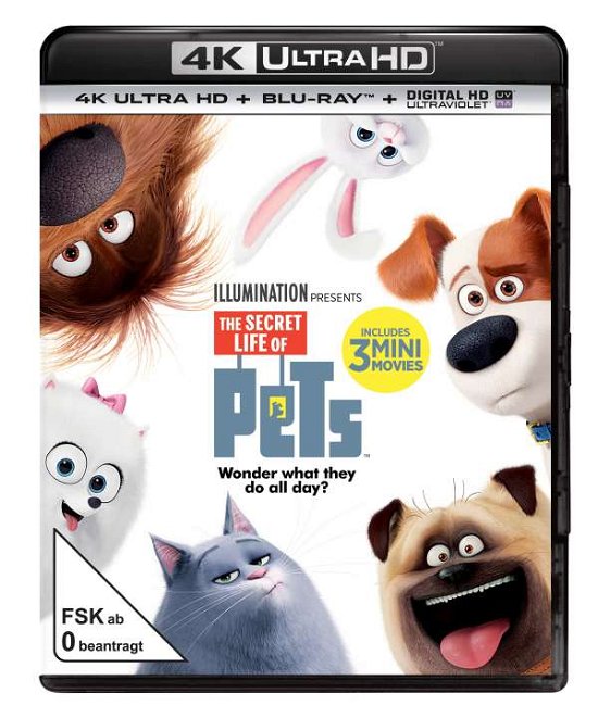 Cover for Keine Informationen · Pets (4K UHD Blu-ray) (2016)