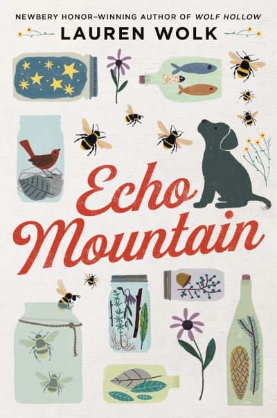 Cover for Lauren Wolk · Echo Mountain (Paperback Book) (2021)