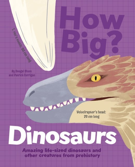 Cover for Dougal Dixon · How Big? Dinosaurs: Amazing Life-Sized Dinosaurs and Other Creatures from Prehistory (Hardcover Book) (2024)