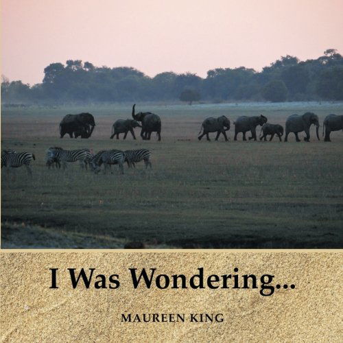 Cover for Maureen King · I Was Wondering. . . (Paperback Book) (2014)