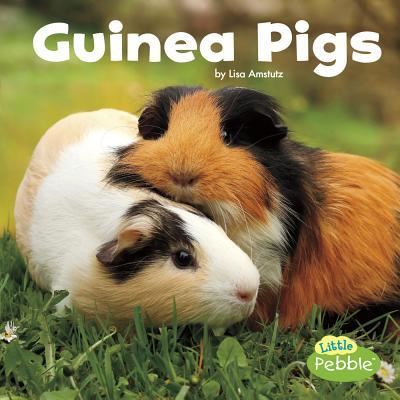 Cover for Lisa J. Amstutz · Guinea Pigs (Book) (2018)