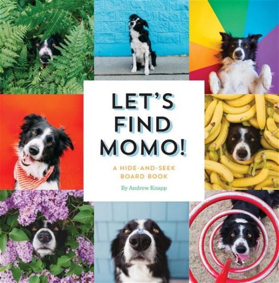 Let's Find Momo!: A Hide-and-Seek Board Book - Find Momo - Andrew Knapp - Books - Quirk Books - 9781594749582 - April 18, 2017