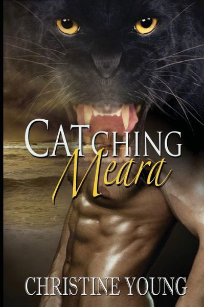 Cover for Christine Young · Catching Meara (Paperback Book) (2015)