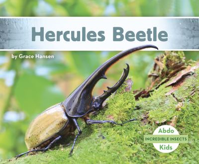 Cover for Grace Hansen · Incredible Insects: Hercules Beetle (Paperback Book) (2021)