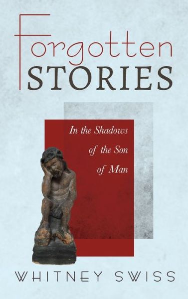 Cover for Stephen W Shanley · Forgotten Stories: In the Shadows of the Son of Man (Hardcover Book) (2020)