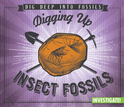 Cover for Charlotte Taylor · Digging Up Insect Fossils (Paperback Book) (2021)