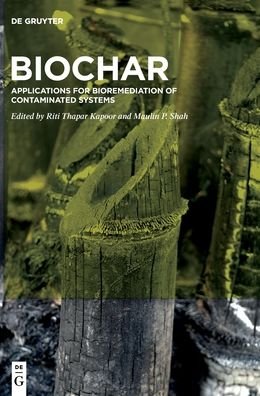 Cover for Riti Thapar Kapoor · BioChar (Hardcover bog) (2022)