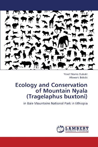 Cover for Afework Bekele · Ecology and Conservation of Mountain Nyala (Tragelaphus Buxtoni): in Bale Mountains National Park in Ethiopia (Paperback Bog) (2013)