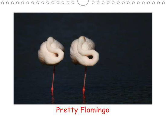 Cover for Bogner · Pretty Flamingo (Wandkalender 20 (Book)