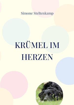 Cover for Simone Steltenkamp · Krümel im Herzen (Book) (2022)