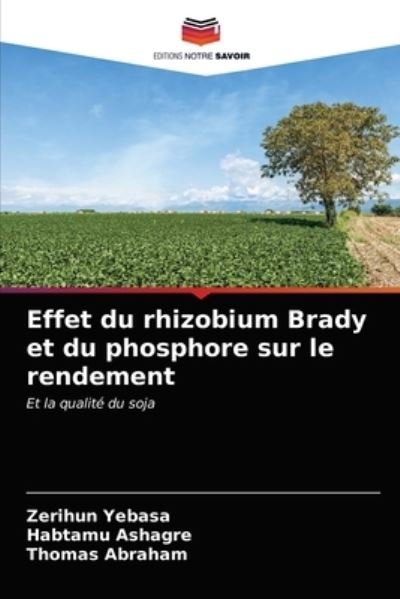 Cover for Yebasa · Effet du rhizobium Brady et du p (Book) (2020)