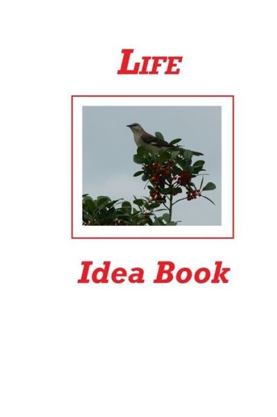Cover for Karen Rhodes · Life Idea Book (Pocketbok) (2020)