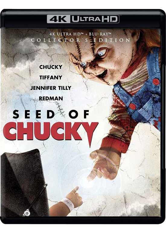 Seed of Chucky - 4k Ultra Hd - Filmes - HORROR - 0826663236583 - 29 de agosto de 2023
