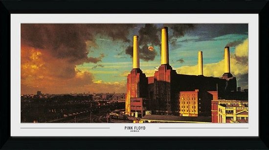 Cover for Pink Floyd · Pink Floyd - Animals (30mm Black) (stampa In Cornice 50x100 Cm) (Leketøy)