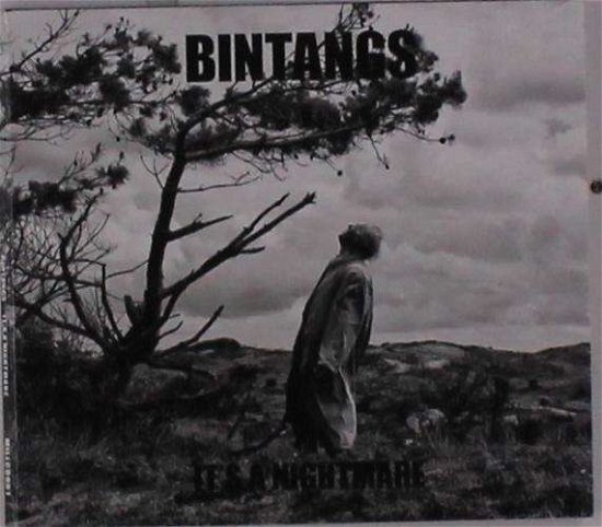 Cover for Bintangs · It's A Nightmare (CD) (2018)