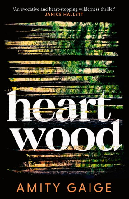 Cover for Amity Gaige · Heartwood: 'nearly impossible to put down' Jennifer Egan (Paperback Book) (2026)