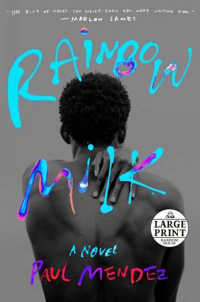 Cover for Paul Mendez · Rainbow Milk A Novel (Paperback Book) (2021)