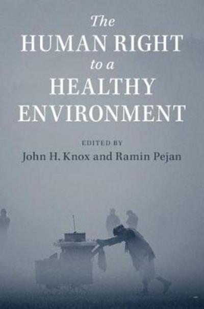 Cover for John Knox · The Human Right to a Healthy Environment (Paperback Book) (2018)