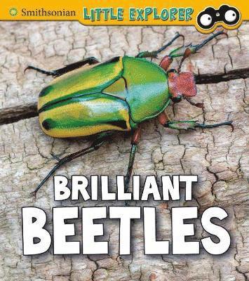 Cover for Melissa Higgins · Brilliant Beetles - Insect Explorer (Hardcover Book) (2019)