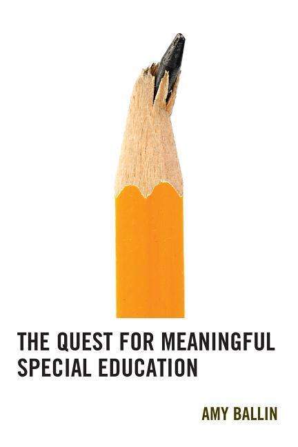 Cover for Amy Ballin · The Quest for Meaningful Special Education (Hardcover Book) (2016)