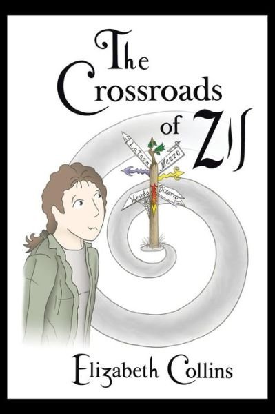 Cover for Elizabeth Collins · The Crossroads of Zil (Pocketbok) (2013)