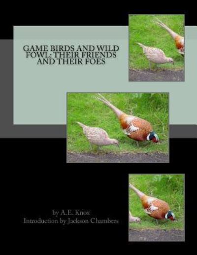 Game Birds and Wild Fowl - A E Knox - Książki - Createspace Independent Publishing Platf - 9781539321583 - 3 października 2016