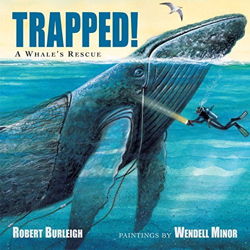Cover for Robert Burleigh · Trapped! A Whale's Rescue (Gebundenes Buch) (2015)