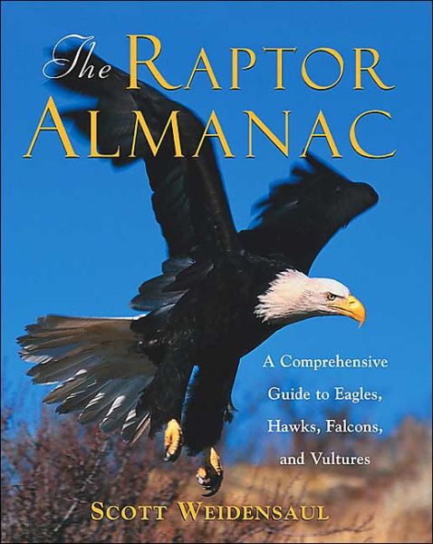 Cover for Scott Weidensaul · The Raptor Almanac: A Comprehensive Guide to Eagles, Hawks, Falcons, and Vultures (Paperback Book) [New edition] (2004)