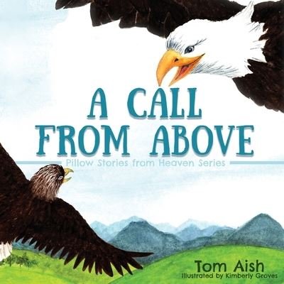 Cover for Tom Aish · A Call from Above (Paperback Book) (2019)