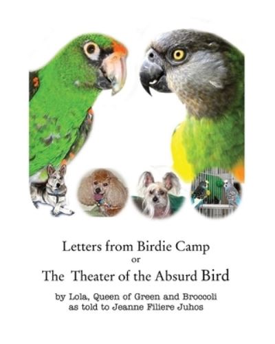 Cover for Lola Queen of Green and Broccoli · Letters from Birdie Camp: The Theater of the Absurd Bird (Paperback Book) (2020)