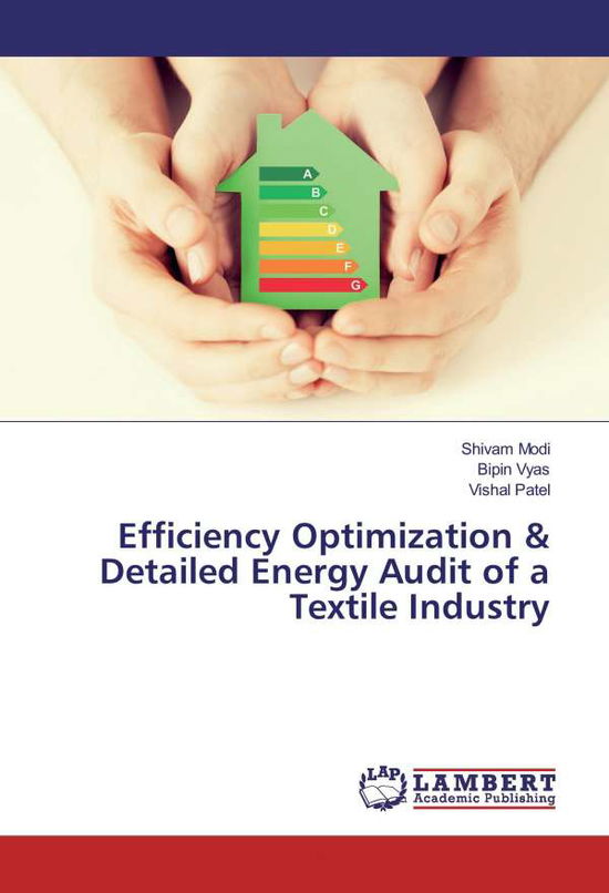 Cover for Modi · Efficiency Optimization &amp; Detailed (Book)