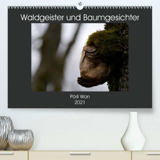 Cover for Won · Waldgeister und Baumgesichter (Prem (Book)