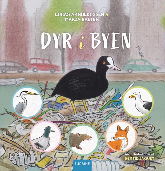 Lucas Arnoldussen & Marja Baeten · Dyr i byen (Hardcover Book) [1º edição] (2024)