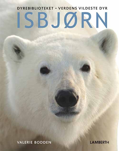 Cover for Valerie Bodden · Verdens vildeste dyr: Isbjørn (Indbundet Bog) [1. udgave] (2019)