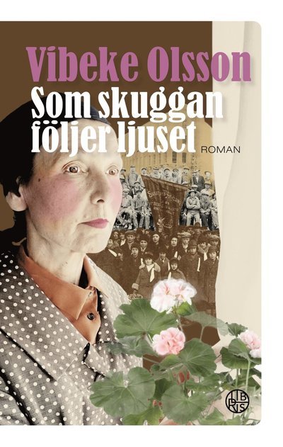 Cover for Vibeke Olsson · Som skuggan följer ljuset (Paperback Book) (2022)