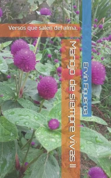 Cover for Ervin A Figueroa · Manojo de siempre vivas II (Paperback Book) (2020)