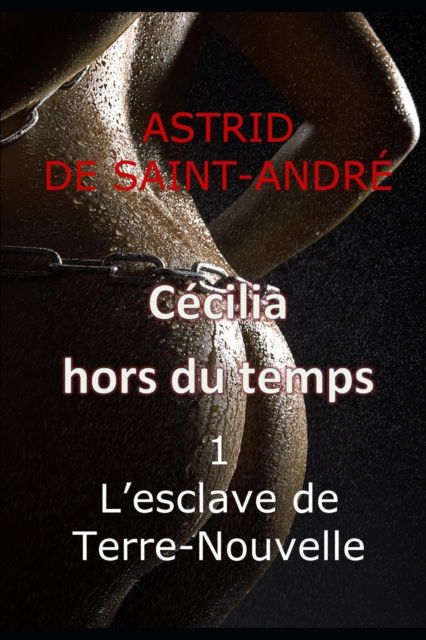 Cover for Astrid De Saint-andre · Cecilia hors du temps: 1 - L'esclave de Terre-Nouvelle - Cecilia Hors Du Temps (Paperback Book) (2022)