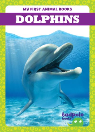 Cover for Natalie Deniston · Dolphins - My First Animal Books (Hardcover Book) (2024)