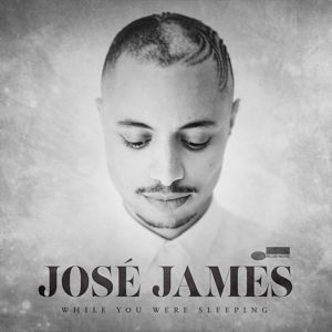 Cover for Jose James · While You Were Sleeping (LP) [Limited edition] (2014)