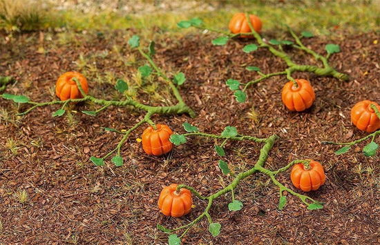 6 Pompoenen - Faller - Gadżety - Faller - 4104090812584 - 