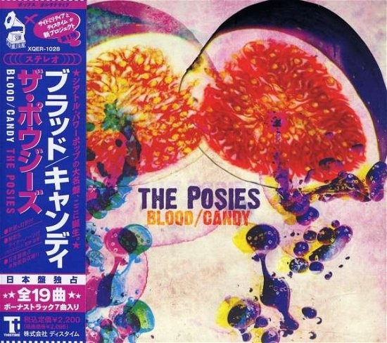 Cover for The Posies · Blood / Candy &lt;jp Deluxe Edition +7&gt;  ) (CD) [Japan Import edition] (2011)