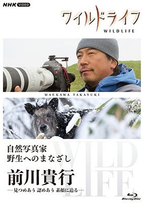 Cover for (Documentary) · Wild Life Shizen Shashinka Yasei He No Manazashi Maekawa Takayuki -mitsume Au Mi (MBD) [Japan Import edition] (2022)