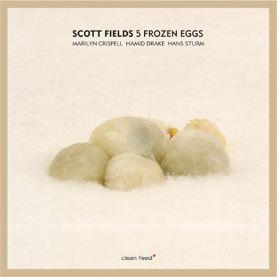 Cover for Scott Fields · 5 Frozen Eggs (CD) (2013)