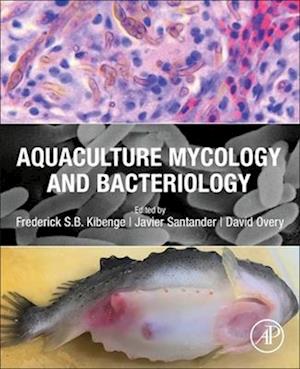 Cover for Frederick S. B. Kibenge · Aquaculture Mycology and Bacteriology (N/A) (2025)