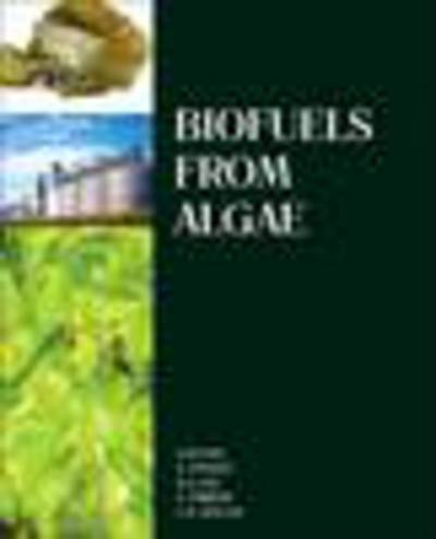 Cover for Ashok Pandey · Biofuels from Algae (Inbunden Bok) (2013)