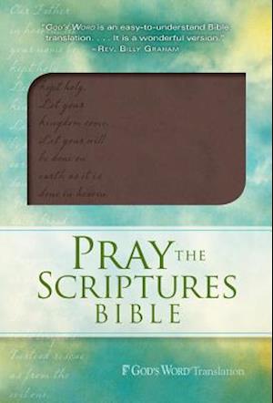 Pray The Scriptures Bible Brown Dur - Johnson - Other -  - 9780764208584 - December 21, 2012